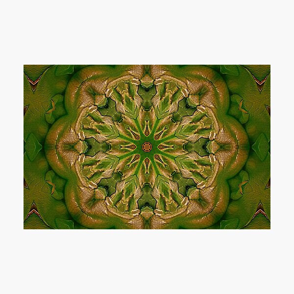 Item preview, Green And Gold designed and sold by Christine Lake.