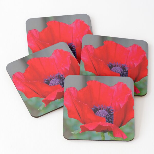Item preview, Deep Red Poppy designed and sold by Deb Oppermann.