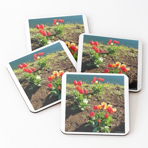 Item preview, Full Bloom Marine Tulips 1.0 designed and sold by Brian Roland.