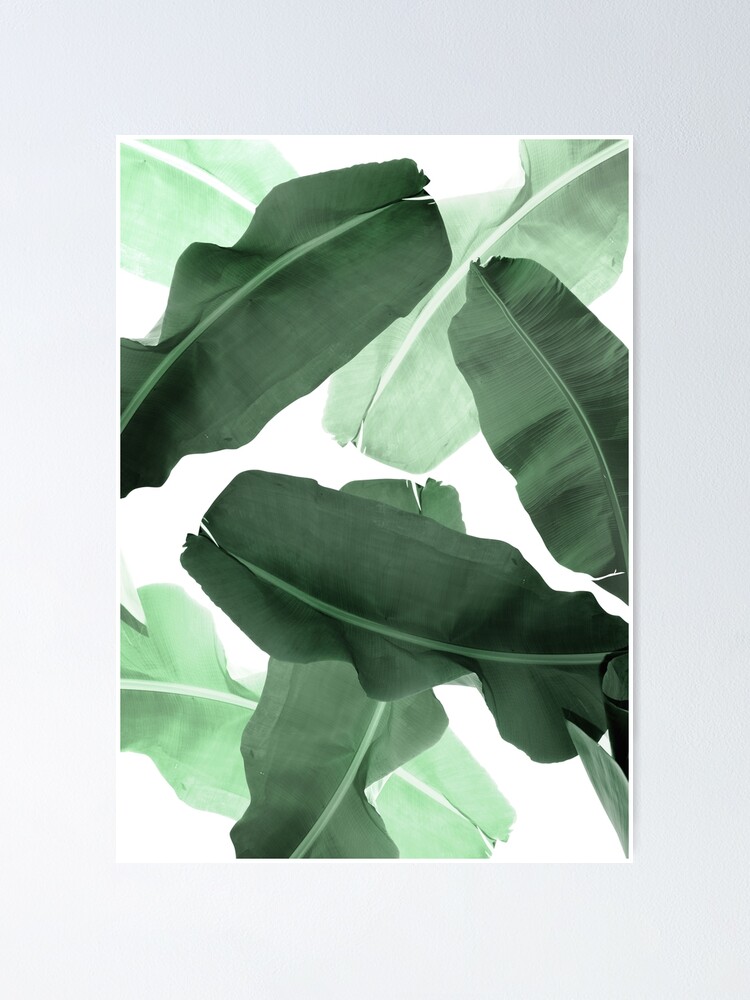 Banana Leaves Green Palm Leaf Pattern Poster By Printsproject Redbubble