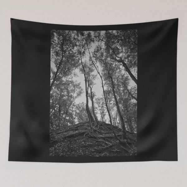 Item preview, Der Geisterwald -- The forest of ghosts designed and sold by Ruhrpottpicture.