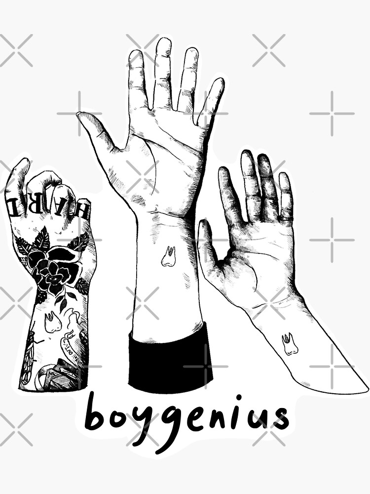 "boygenius" Sticker for Sale by elizabethdactyl Redbubble