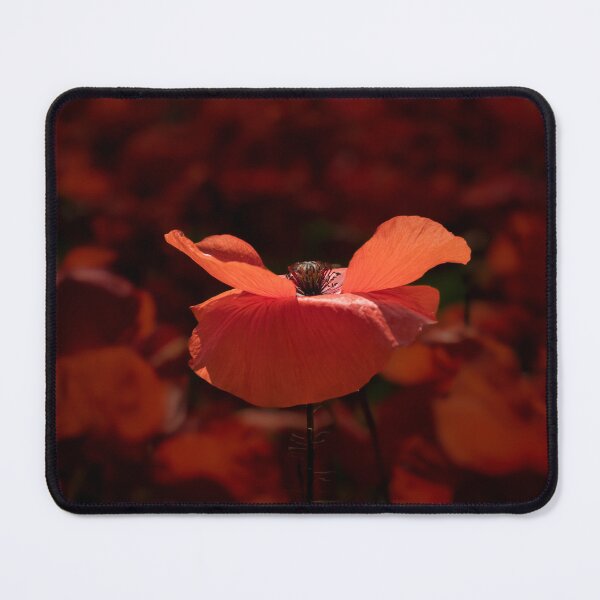 Item preview, Luminous poppy flower designed and sold by gelibolu.