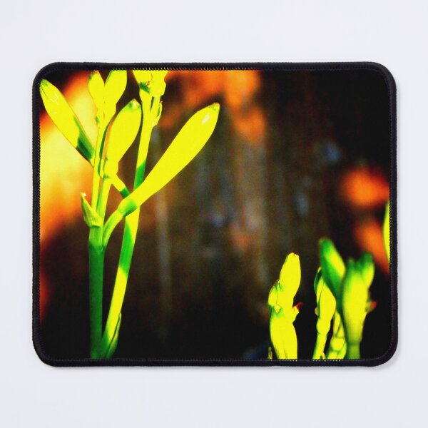Item preview, Daylilies designed and sold by angel1.