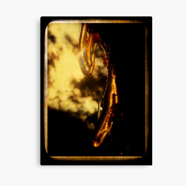 Sap Rising Canvas Print