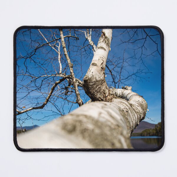 Item preview, Birch designed and sold by Daniel's Destinations.
