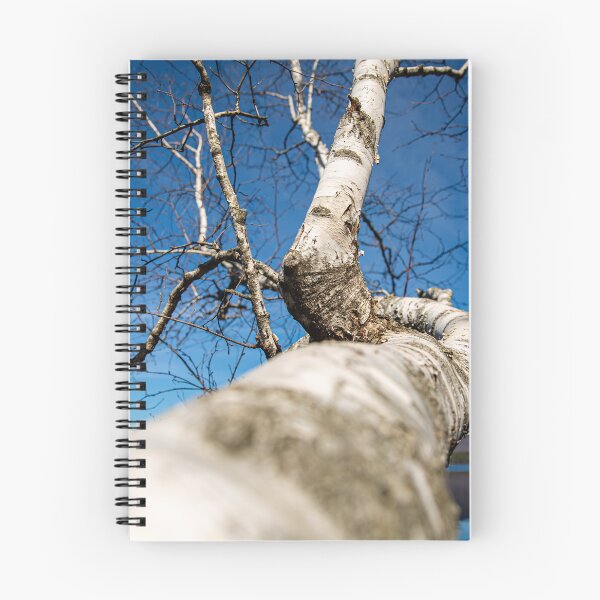 Item preview, Birch designed and sold by Daniel's Destinations.