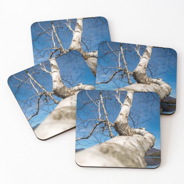 Item preview, Birch designed and sold by Daniel's Destinations.