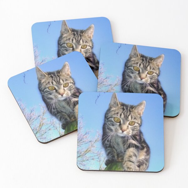 Item preview, Beautiful kitten designed and sold by WAKYSHOP.