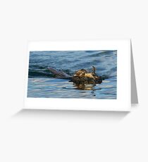 Otter swimming with crab Greeting Card