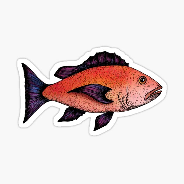 Snapper Stickers for Sale