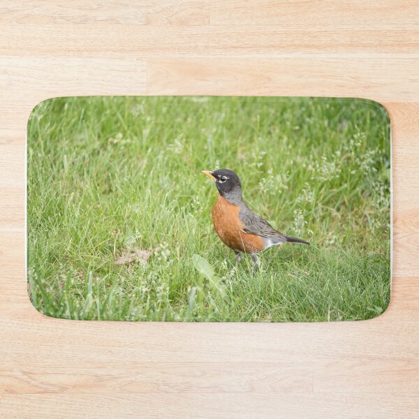 Item preview, American robin in the grass designed and sold by KRFNatureGifts.
