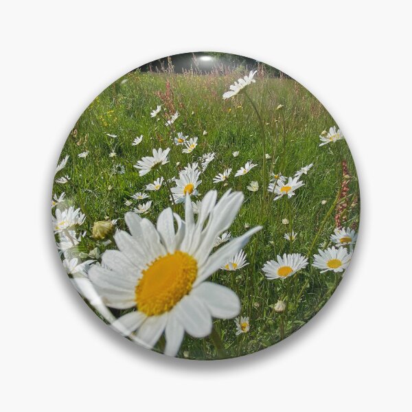 Item preview, Daisies designed and sold by Paddyb17.
