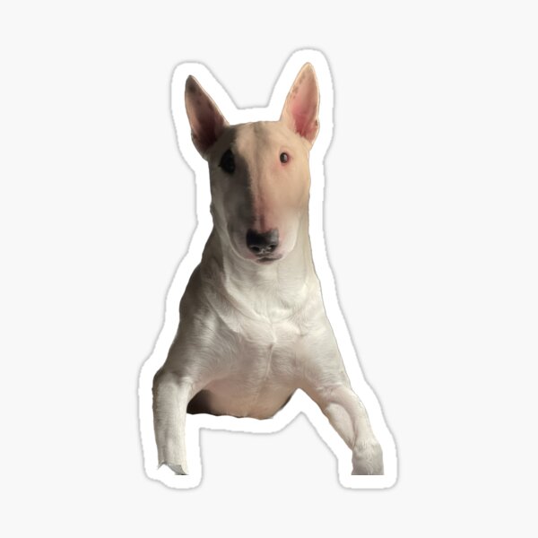 Item preview, Sparky The Bull Terrier designed and sold by Bjammer.