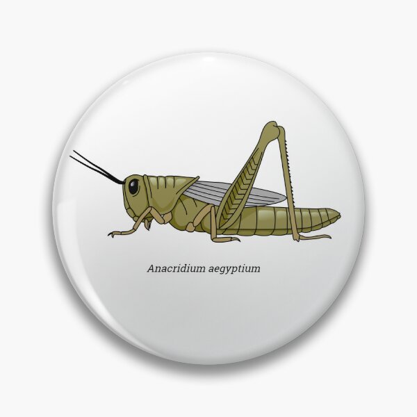 Item preview, Anacridium - grasshopper  designed and sold by Wittylot.
