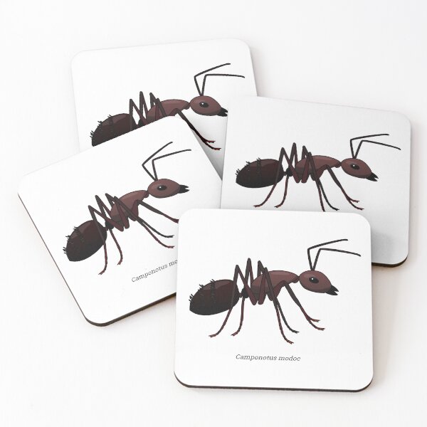 Item preview, Camponotus - Ant designed and sold by Wittylot.