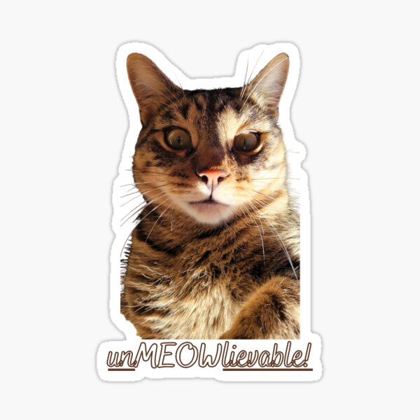 Cat  Sticker for Sale by Nat A