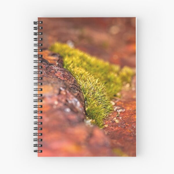 Item preview, Rock Macros (1) designed and sold by Wolf Sverak Photography.