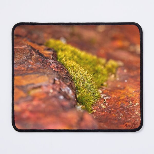Item preview, Rock Macros (1) designed and sold by Wolf Sverak Photography.
