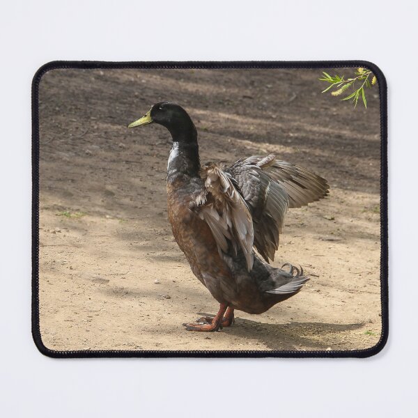Item preview, Getting My Wings Ready to Leave designed and sold by heatherfriedman.