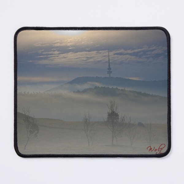 Item preview, Fog Magic at the Arboretum in autumn 2023 (2) designed and sold by Wolf Sverak Photography.