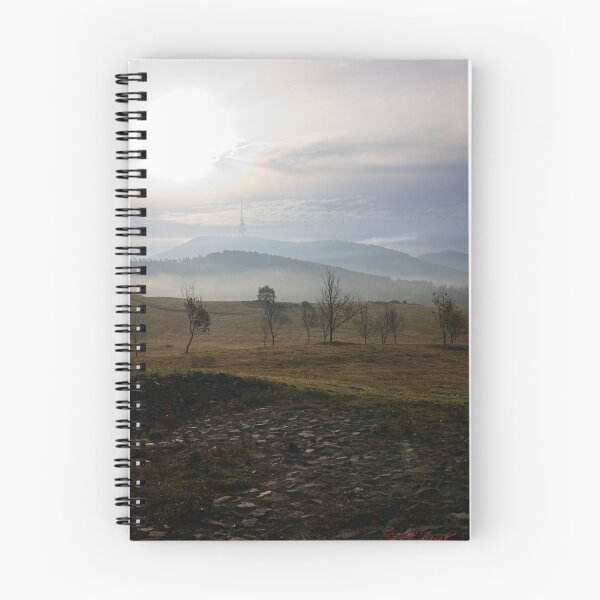 Item preview, Fog Magic at the Arboretum in autumn 2023 (1) designed and sold by Wolf Sverak Photography.