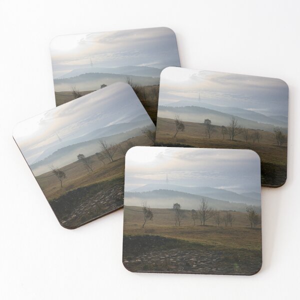 Item preview, Fog Magic at the Arboretum in autumn 2023 (1) designed and sold by Wolf Sverak Photography.