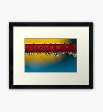 Macro Framed Print
