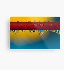 Macro Metal Print