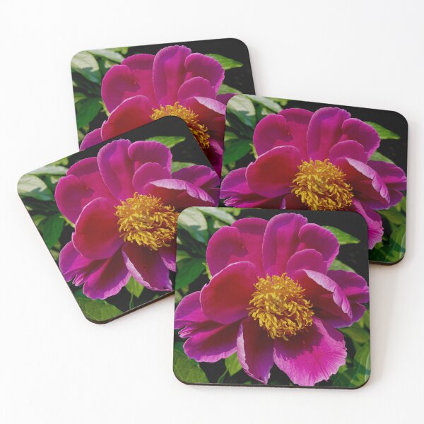 Item preview, Peonies  designed and sold by Hiruwijesundara.