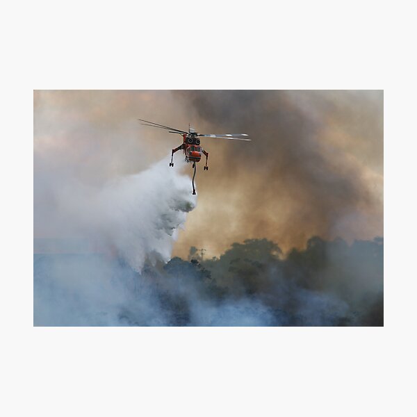 Trail Blazer Photographic Print