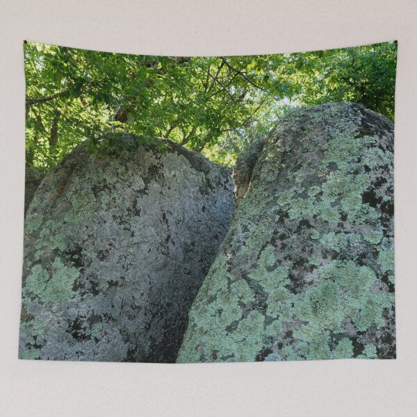 Item preview, Like Mystical Animal Skin - Lichen Covered Boulders in a Forest designed and sold by Georgia Mizuleva.