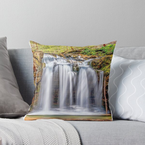 Item preview, Alternate view of DeBord Falls - Frozen Head State Park Graphic  designed and sold by SamantaAbbo.