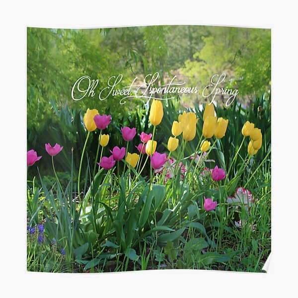 Oh Sweet Spontaneous Spring Poster