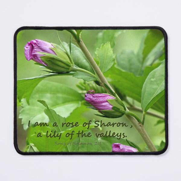 Item preview, Song of Solomon 2:1 designed and sold by Frankie Cat Photography.
