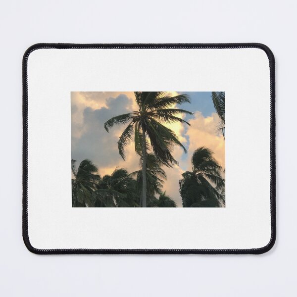 Item preview, My photo of a San andres plant  designed and sold by carlshopp26.