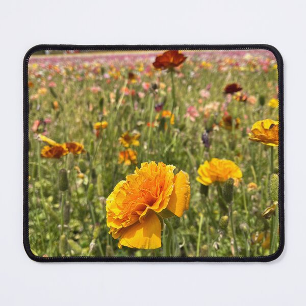 Item preview, Carlsbad, CA #1 designed and sold by gracecfowler.