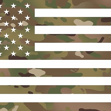 Imagen de la obra Bandera de Estados Unidos: camuflaje militar de Jared Davies