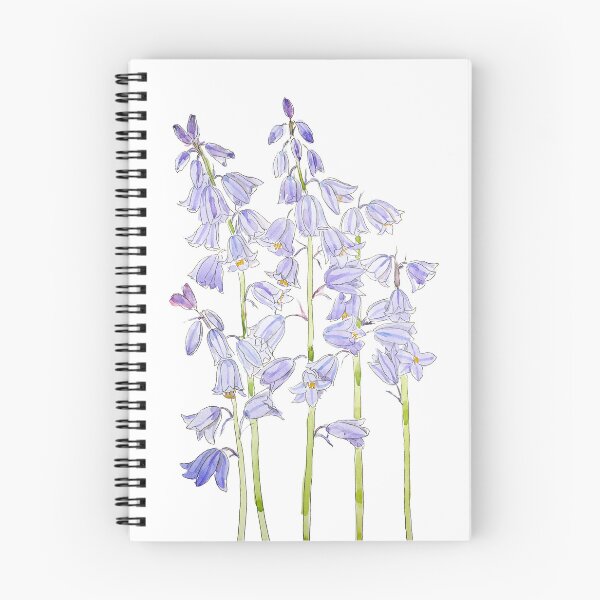 Artikelvorschau, Spanische Glockenblumen Tinte und Aquarell 2023 handgemalt entworfen und verkauft von SelenePaintings .