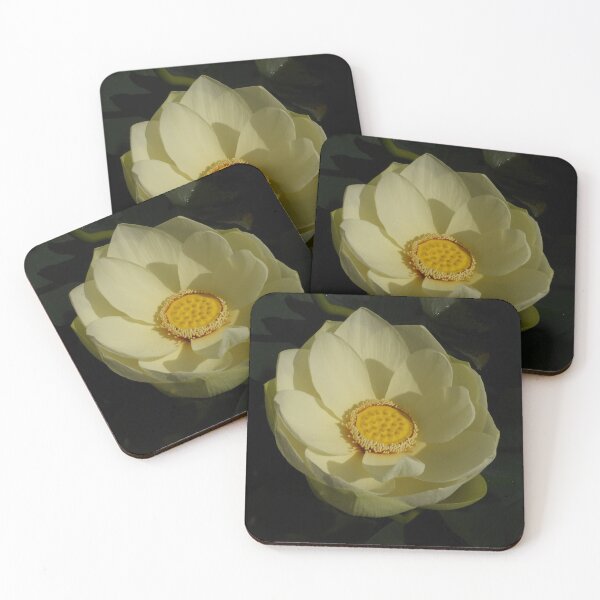 Item preview, Cream White Lotus Flower designed and sold by Linda Sijpkes.