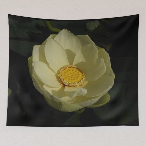 Item preview, Cream White Lotus Flower designed and sold by Linda Sijpkes.