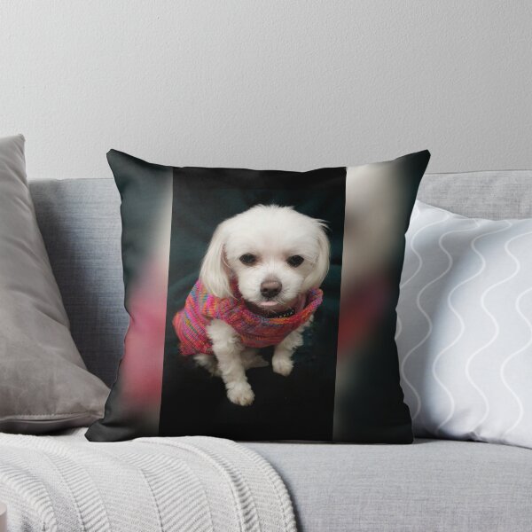 Item preview, Pumpkin designed and sold by JanineRT.