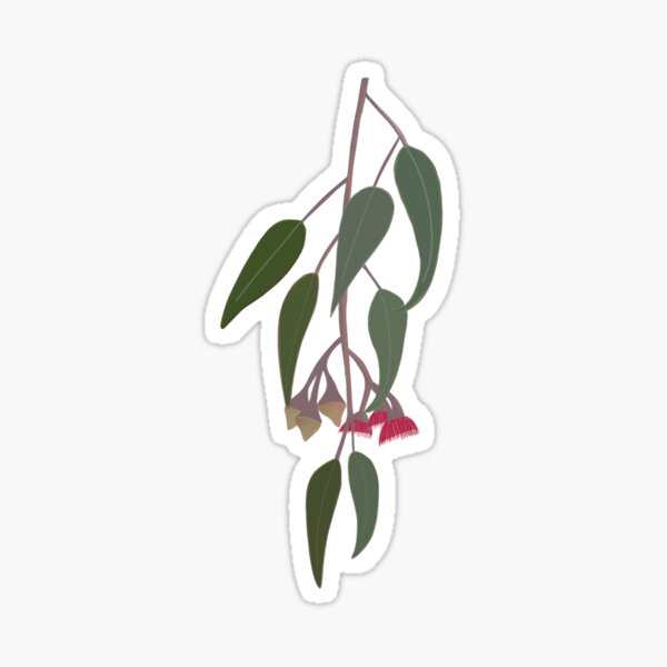 Item preview, Australian Eucalyptus Gum Blossom designed and sold by TammyE92.