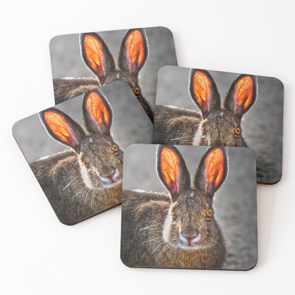 Item preview, Hare designed and sold by Alex Preiss.