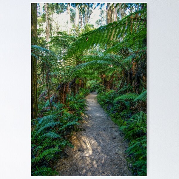 Item preview, William Ricketts Sanctury, Mount Dandenong, Victoria, Australia designed and sold by rossacampbell.