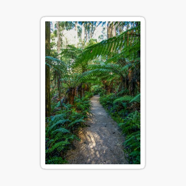 Item preview, William Ricketts Sanctury, Mount Dandenong, Victoria, Australia designed and sold by rossacampbell.