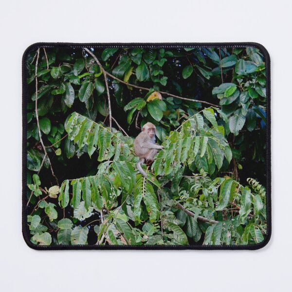 Item preview, monkey in tree designed and sold by mjoffe.