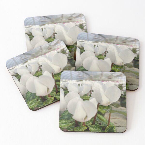 Item preview, Cyclamen Metalis White Pretty Flowers designed and sold by cascadecuts.