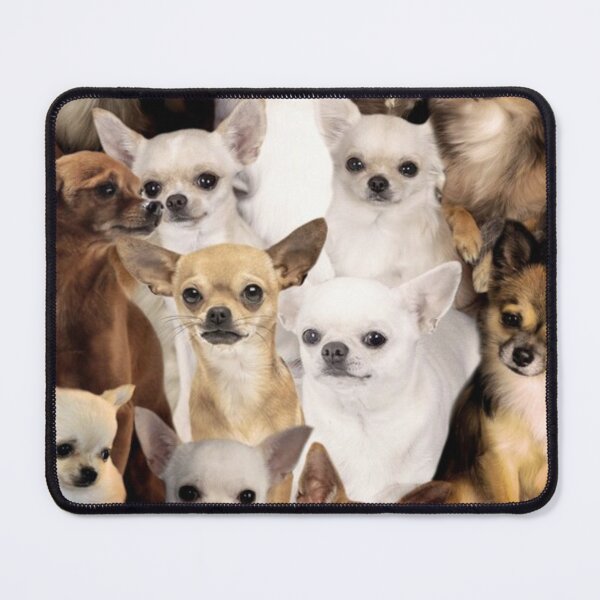 Item preview, Chihuahuas designed and sold by tocuzujaru354.