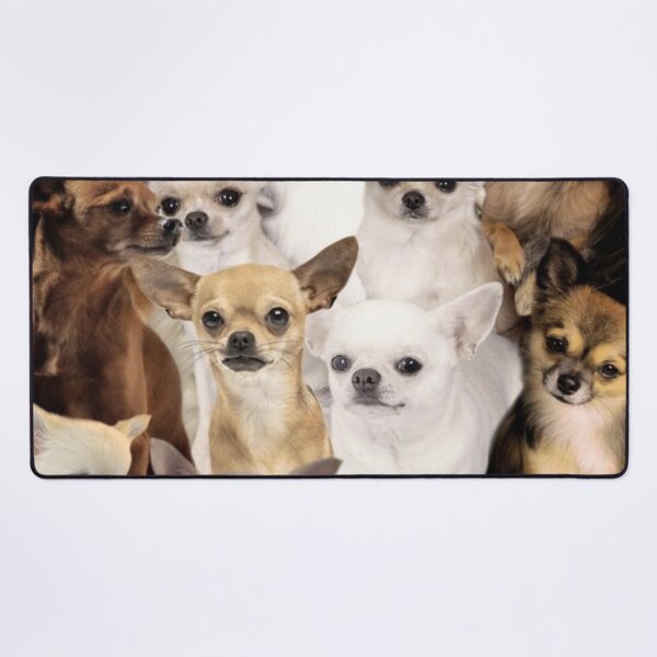 Item preview, Chihuahuas designed and sold by tocuzujaru354.